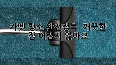 카펫 청소 완전정복! ✨ 깨끗한 집, 어렵지 않아요!