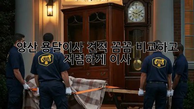 양산 용달이사 견적, 꼼꼼 비교하고 저렴하게 이사🚚💨